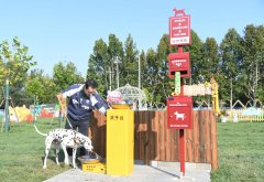 <b>智能等手艺正正在改变人们照应宠物的体例</b>